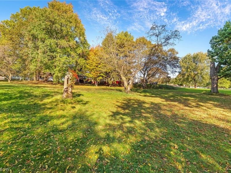 7949 Ridge Road, Wadsworth, OH 44281 Photo 30