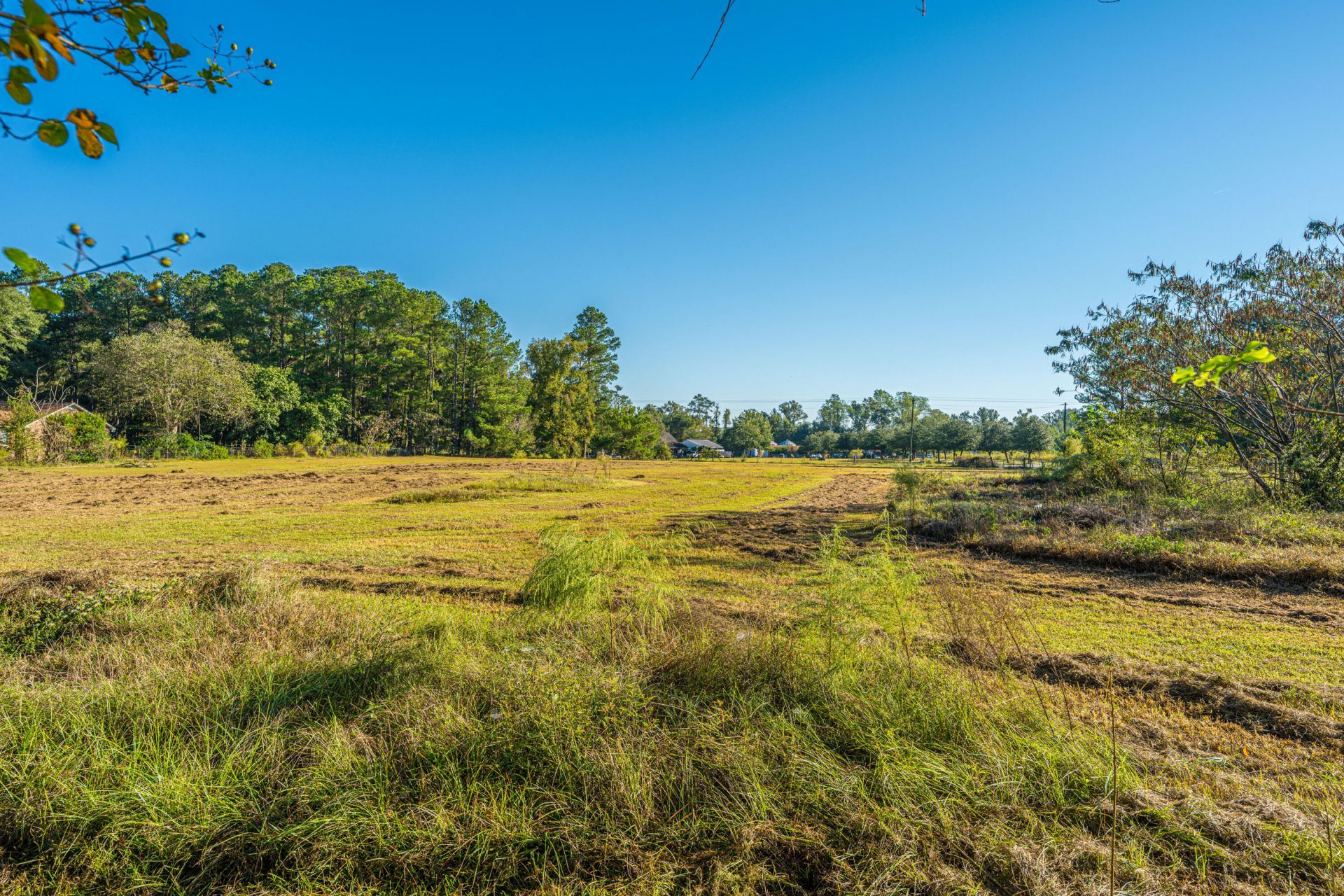 272 Old Bell Road Photo 27
