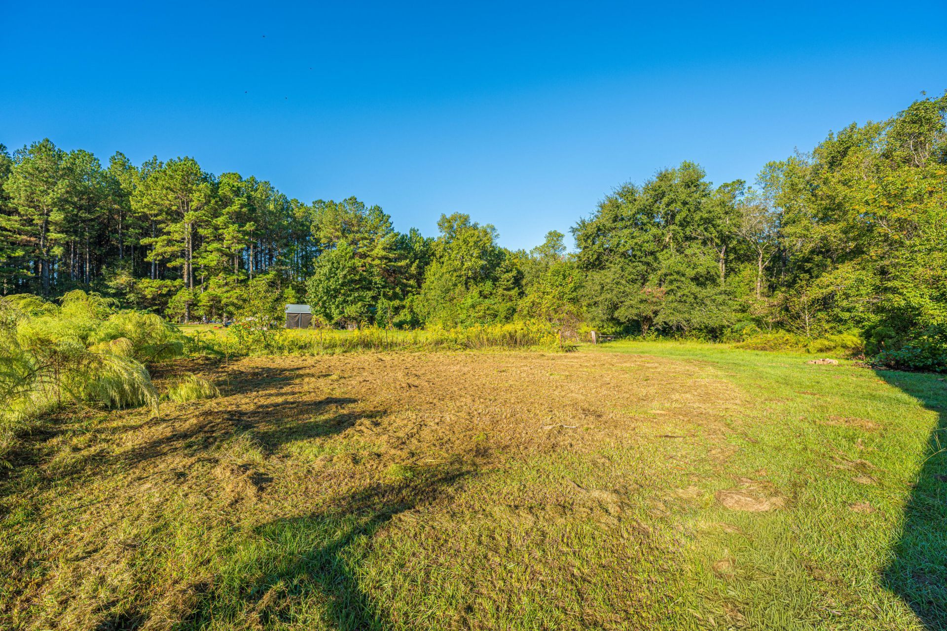 272 Old Bell Road Photo 38