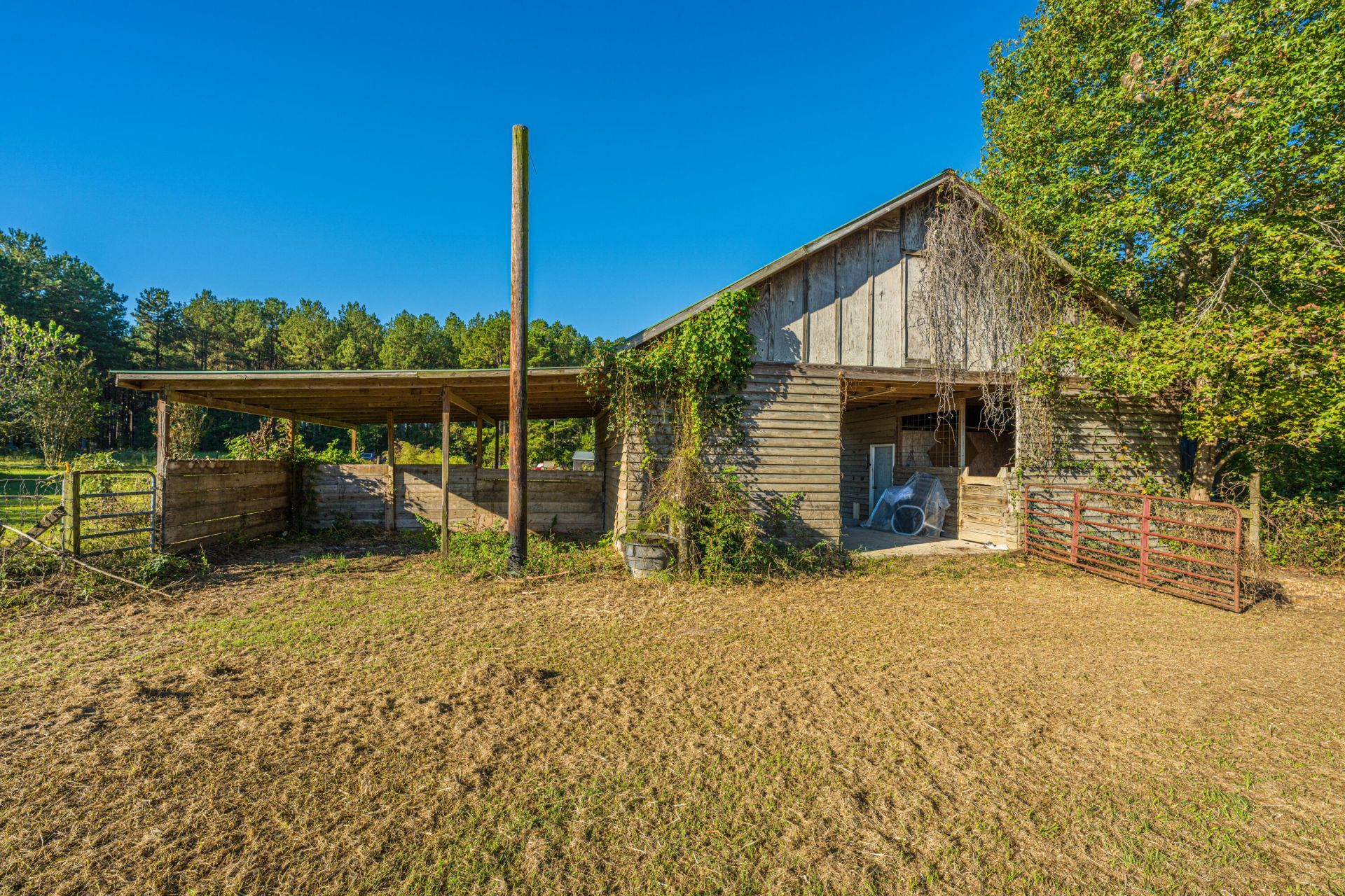 272 Old Bell Road Photo 41