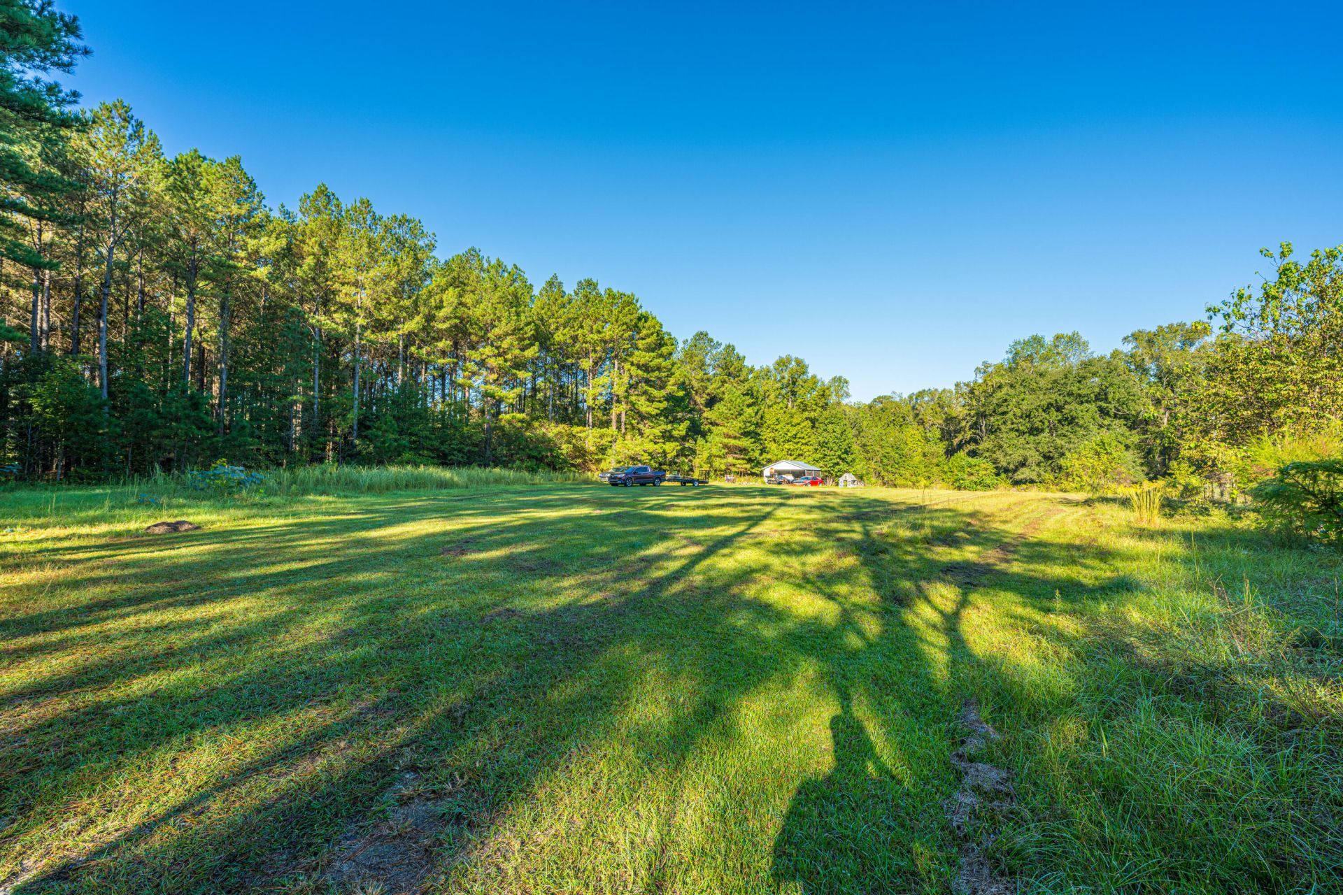 272 Old Bell Road Photo 42