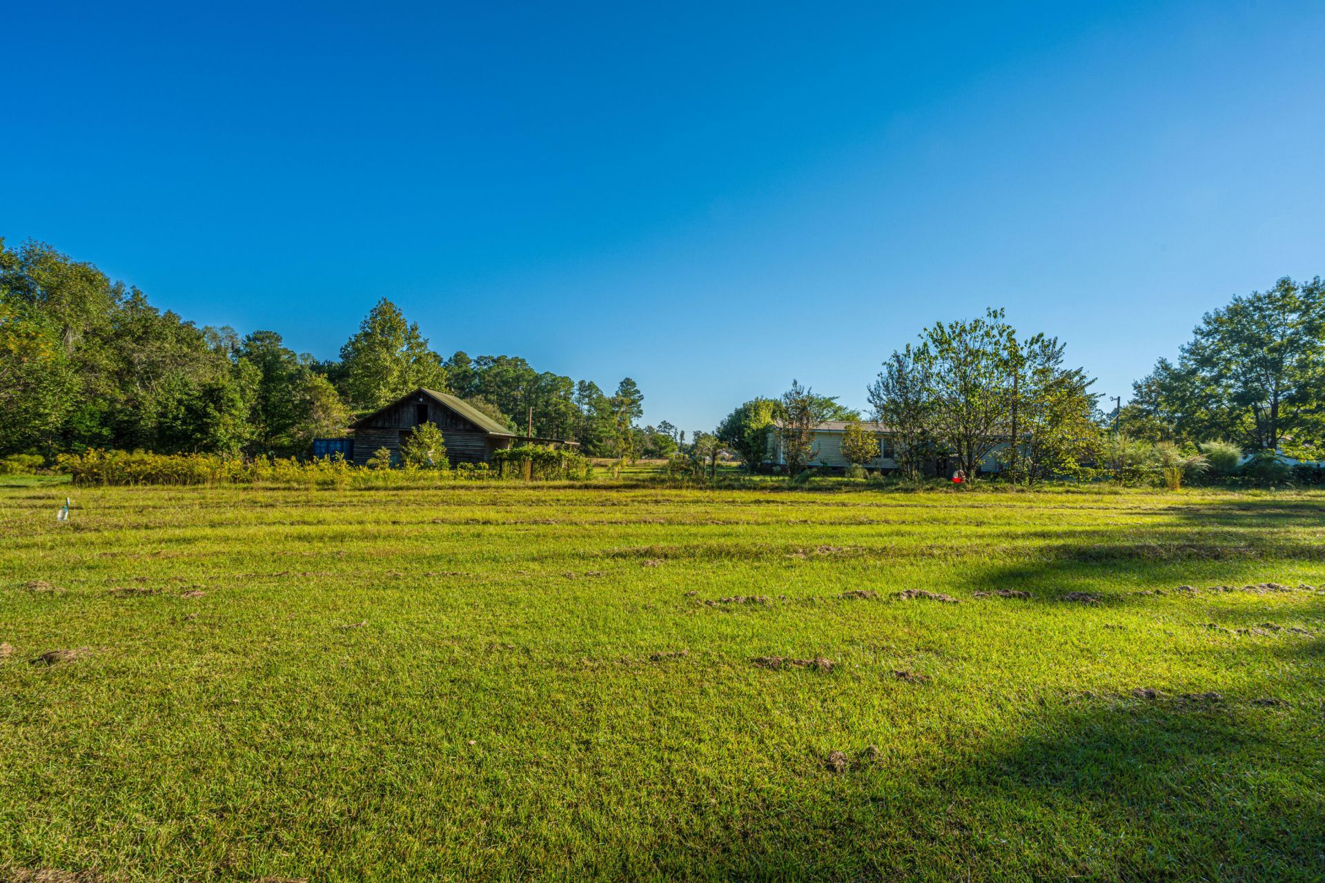 272 Old Bell Road Photo 43