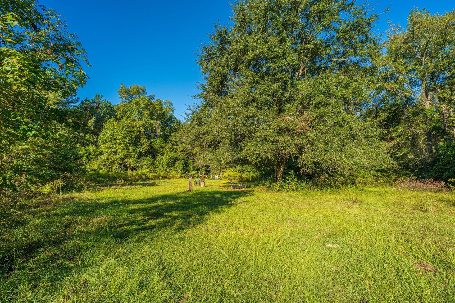 272 Old Bell Road Photo 46