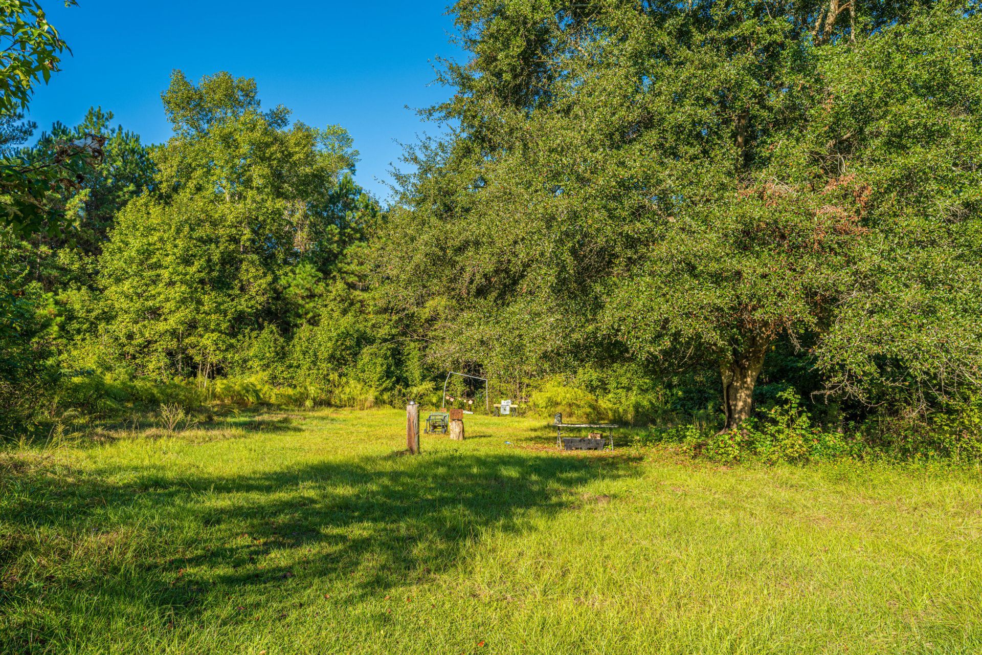 272 Old Bell Road Photo 46