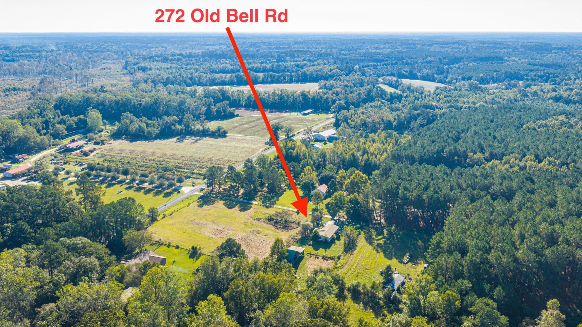 272 Old Bell Road Photo 60