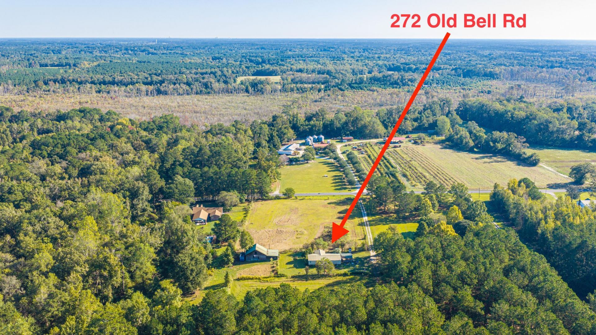 272 Old Bell Road Photo 65