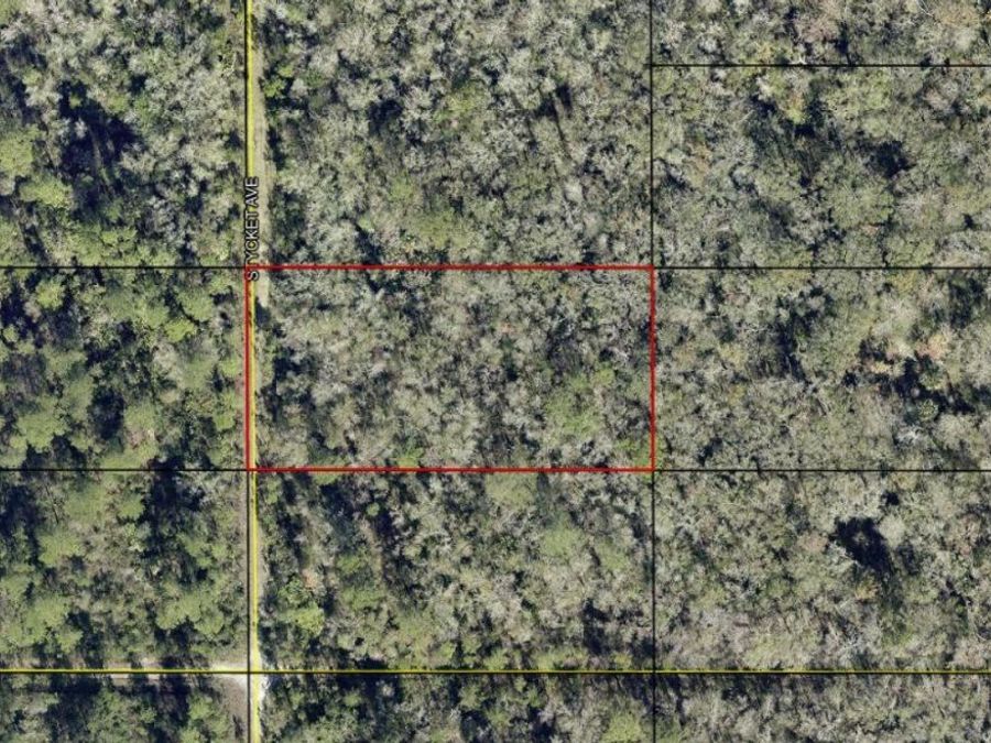 Property Image 7