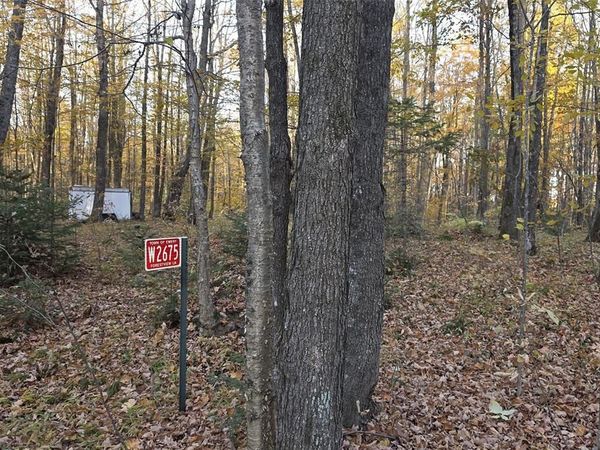 W2675 Forestview Lane, Phillips, WI 54555
