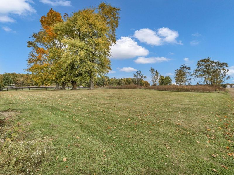 1770 County Road 59, Caledonia, OH 43314 Photo 11