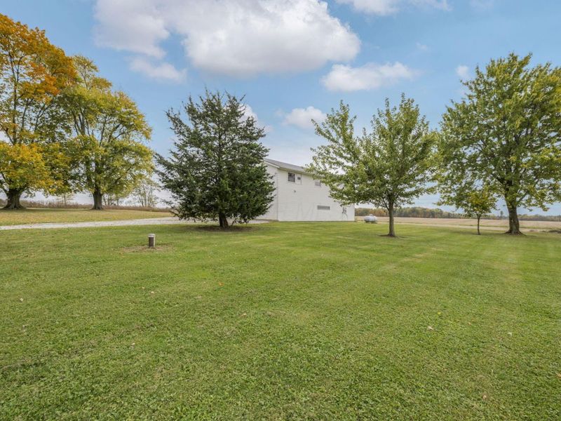 1770 County Road 59, Caledonia, OH 43314 Photo 6