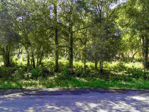 0 DIPLOMAT STREET , DADE CITY, FL 33523