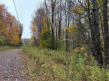 Dancing Street , Meredith, NY 13753
