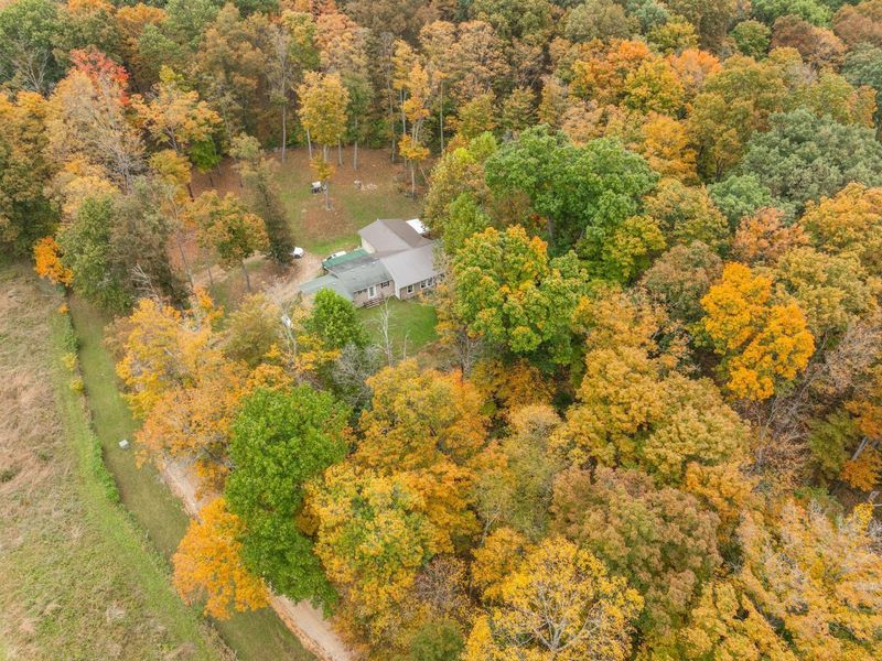 650 Brown Hollow Road, Chillicothe, OH 45601 Photo 60