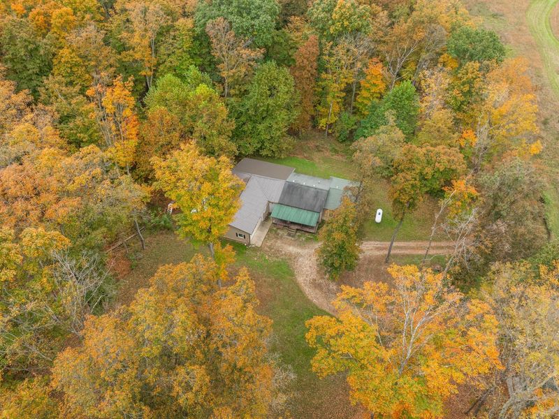 650 Brown Hollow Road, Chillicothe, OH 45601 Photo 7