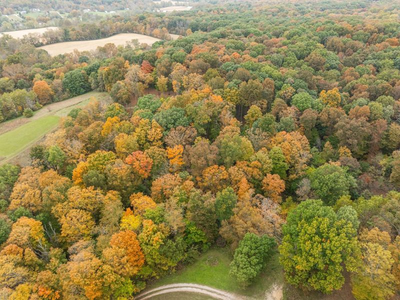 650 Brown Hollow Road, Chillicothe, OH 45601 Photo 71