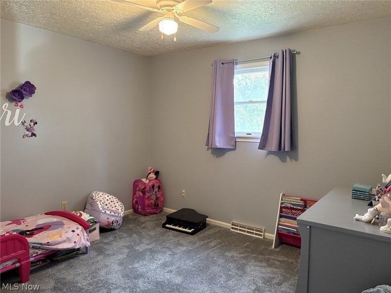202 Sarah Boulevard, Toronto, OH 43964 Photo 20