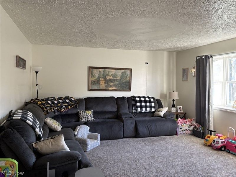 202 Sarah Boulevard, Toronto, OH 43964 Photo 8