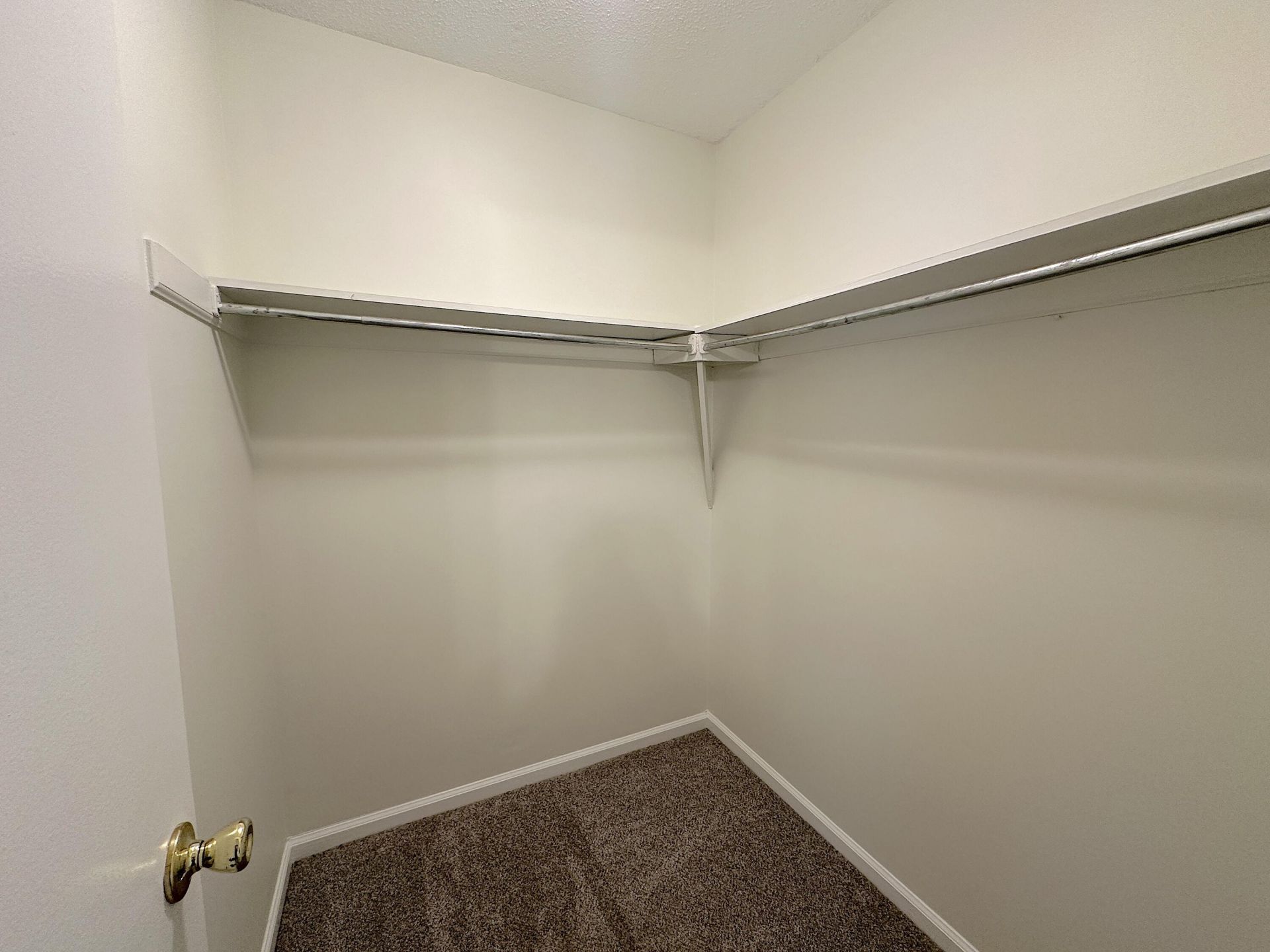 7794 Mcknight Drive Photo 9