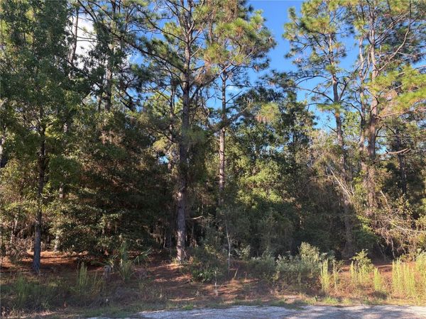 1742 W MESA VERDE DRIVE , BEVERLY HILLS, FL 34465