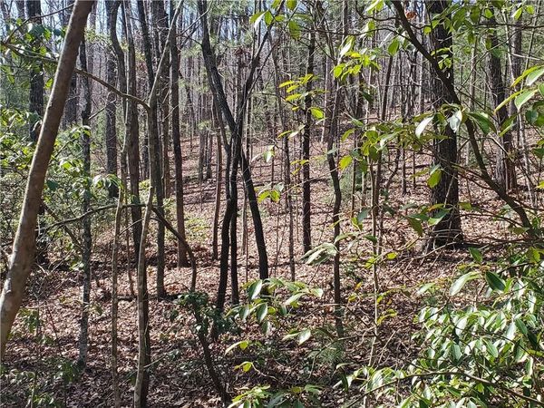 Lot 41 Trails End , Ellijay, GA 30540