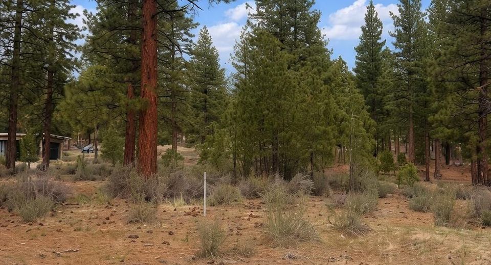 40 Boulders Bend Drive, Lot #116, Carson City, NV 89705 Photo