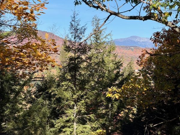 515 West Side Road, Bartlett, NH 03812