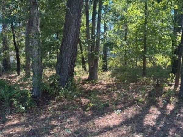 00 Glenwood Drive , Monticello, AR 71655