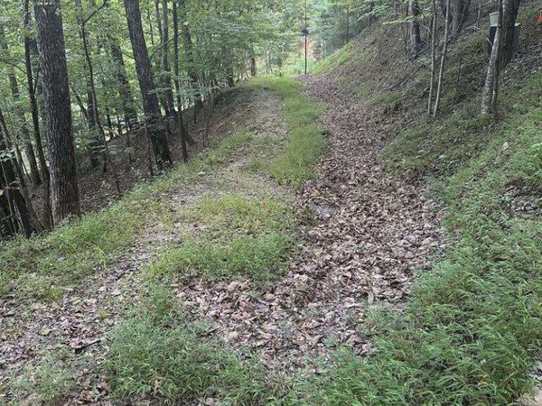 335 Deer Run Lane, Morganton, GA 30560