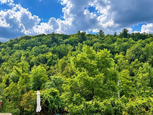 0 Turners Creek RD, Ferrum, VA 24088