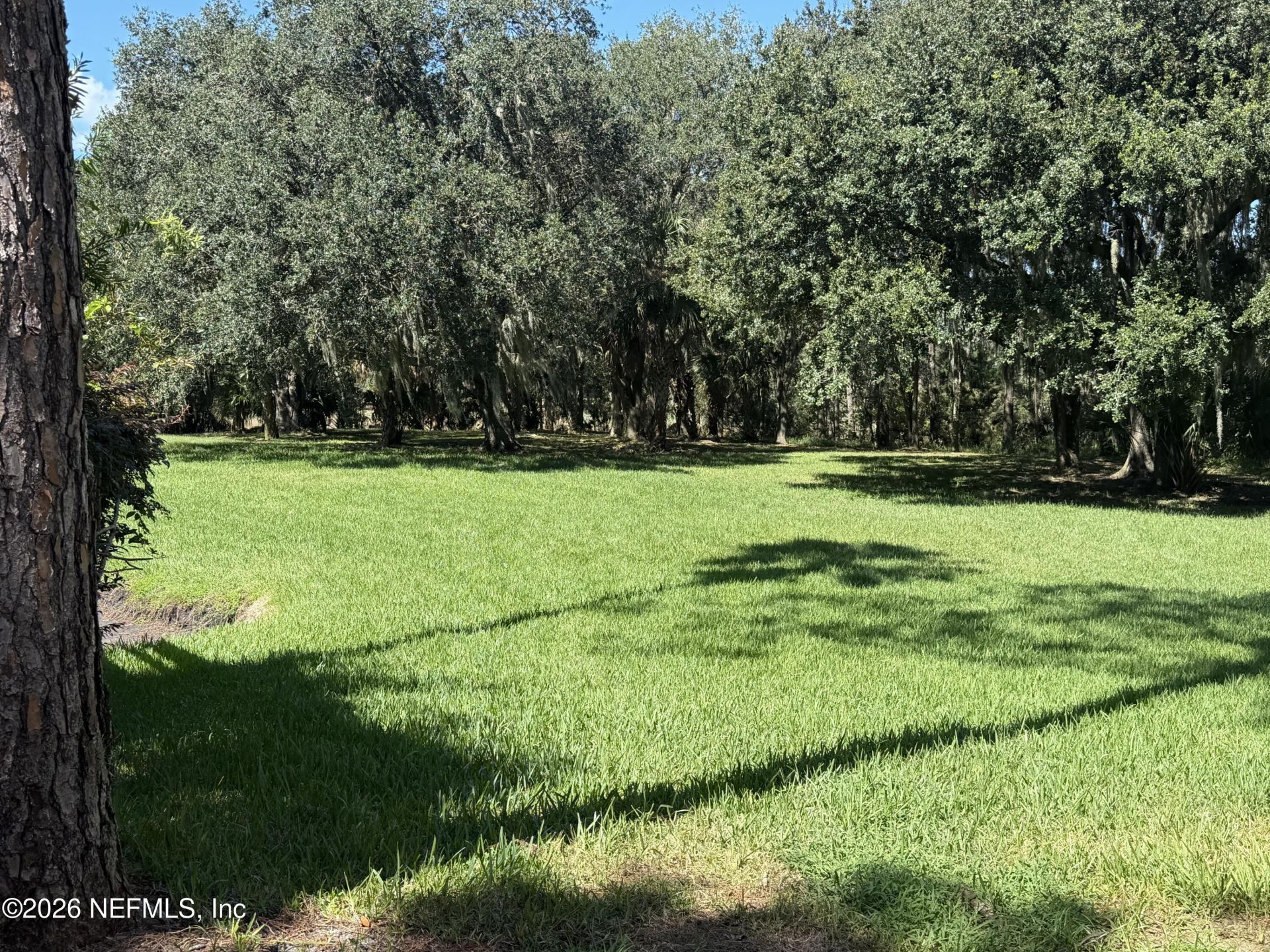 130 Veracruz Drive, Unit 721, Palm Valley, FL 32082 Photo
