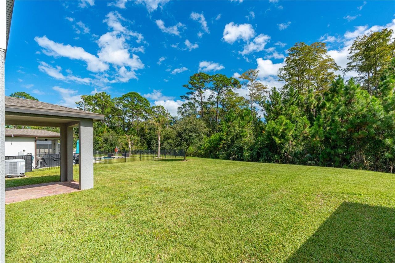 335 Sarah Nicole Way, New Smyrna Beach, FL 32168 Photo