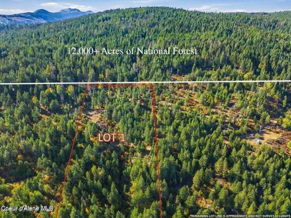 NKA LT 1 Juniper Ln., Naples, ID 83847