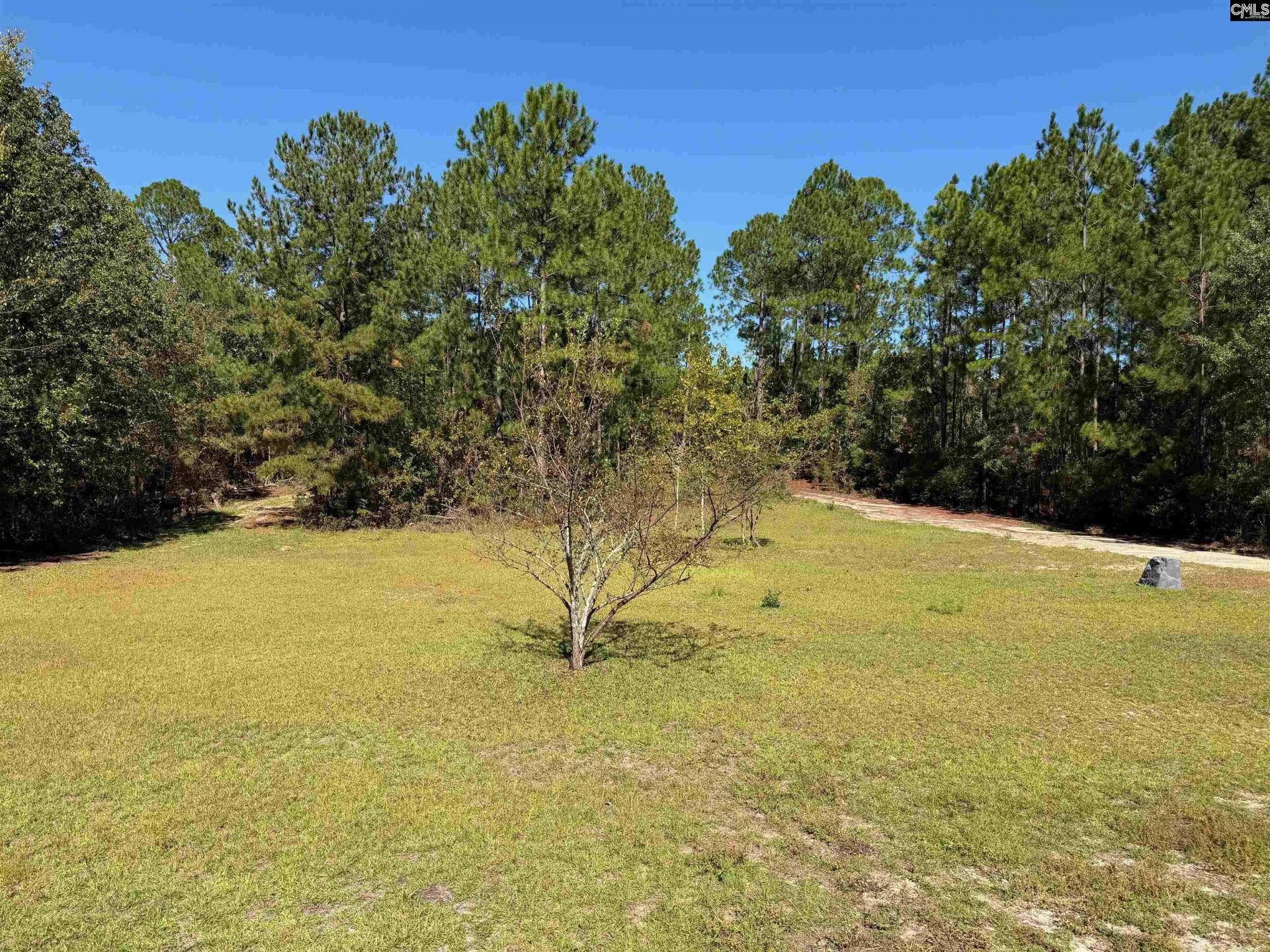 160 Hollow Stump Road  Photo 18