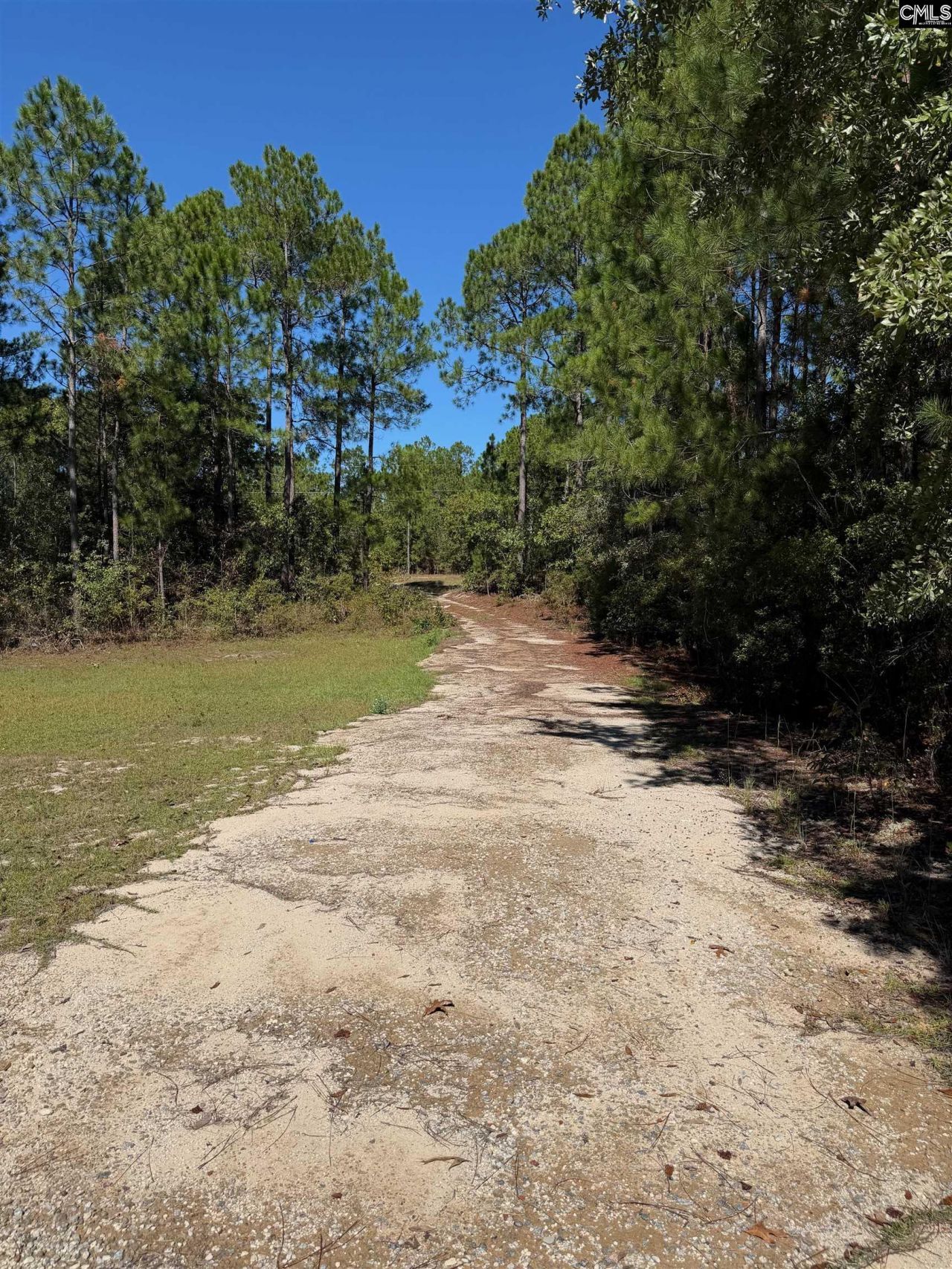 160 Hollow Stump Road  Photo 9