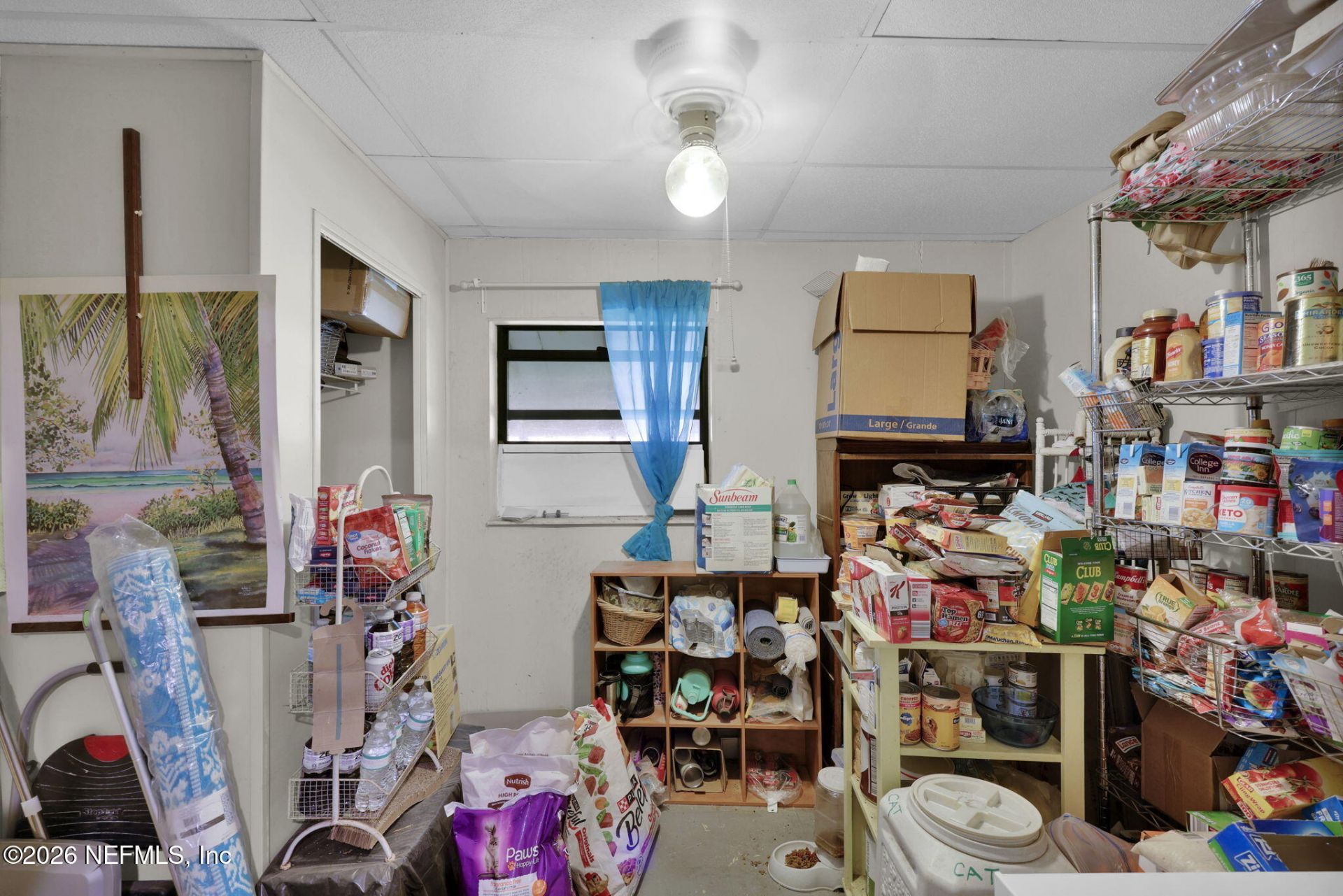 704 Plainfield Avenue, Orange Park, FL 32073 Photo