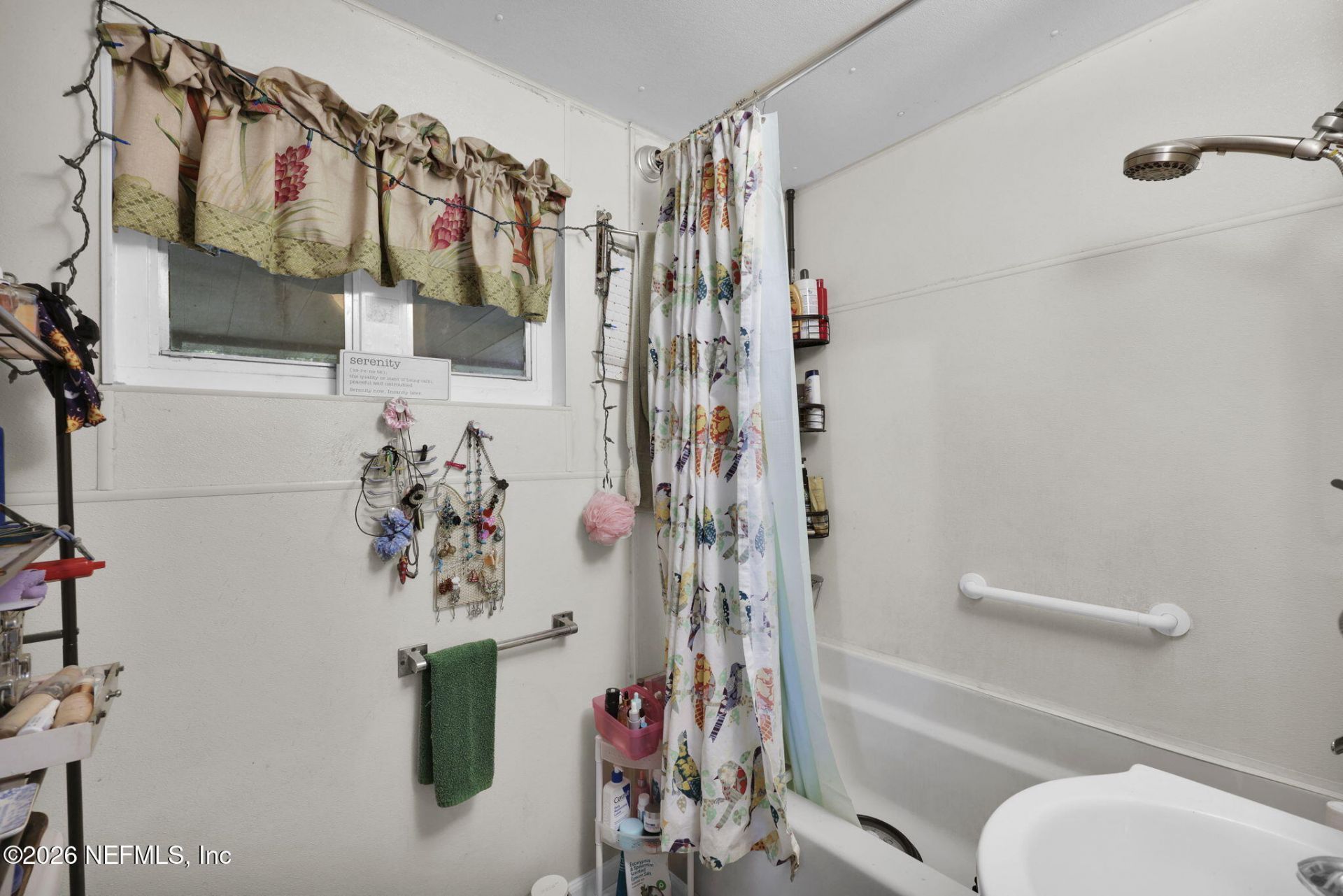 704 Plainfield Avenue, Orange Park, FL 32073 Photo