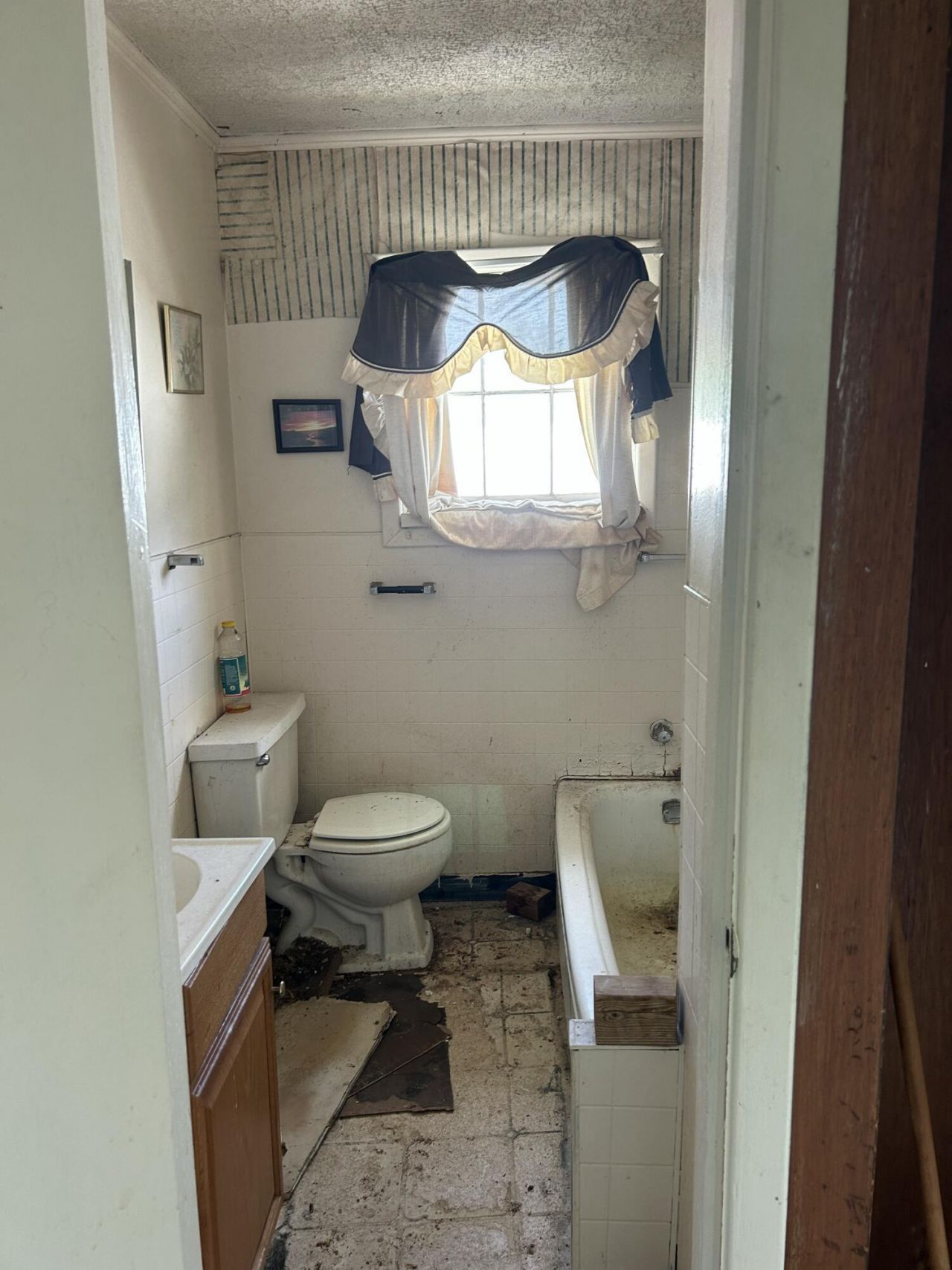 645 Maple Street Photo 32