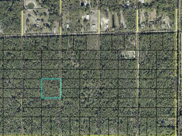 0 DILLON Avenue, Hastings, FL 32145