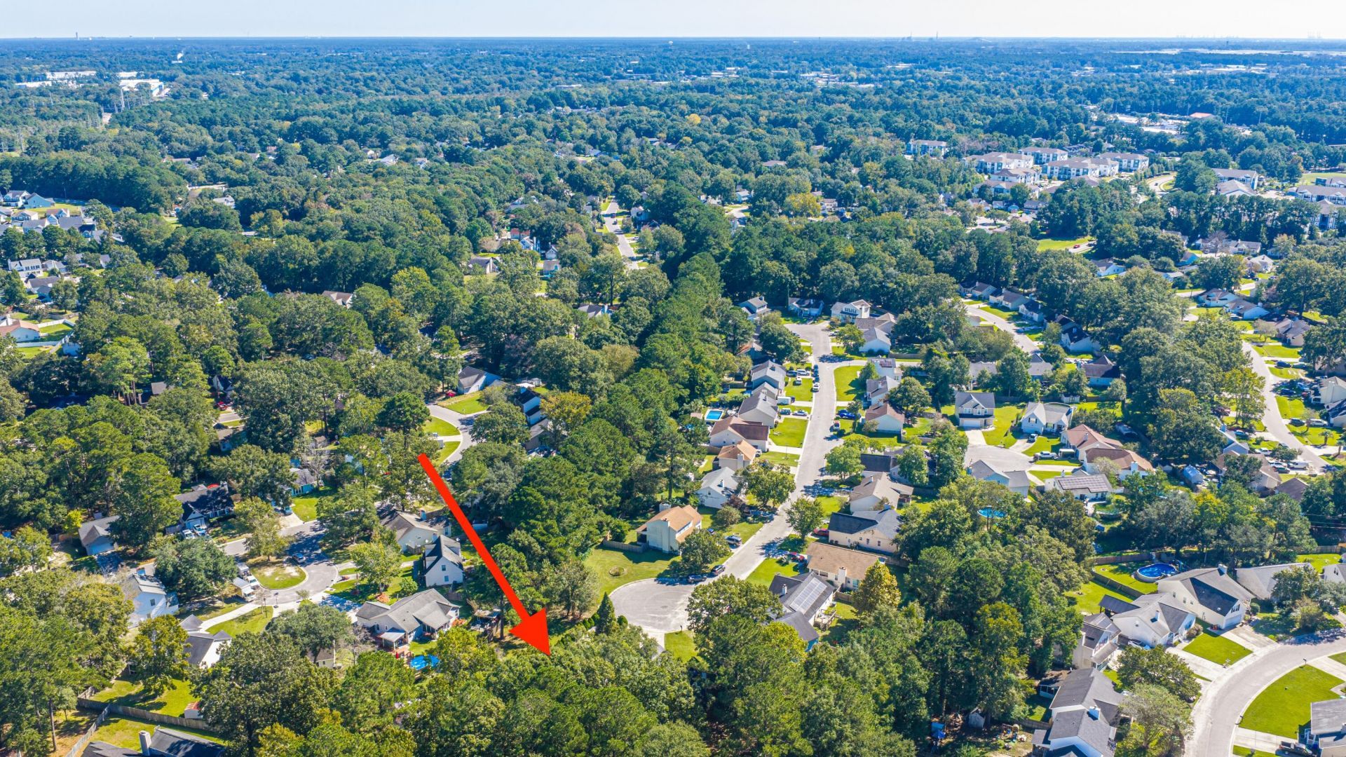 2229 Sawmill Trace Lane Photo 39