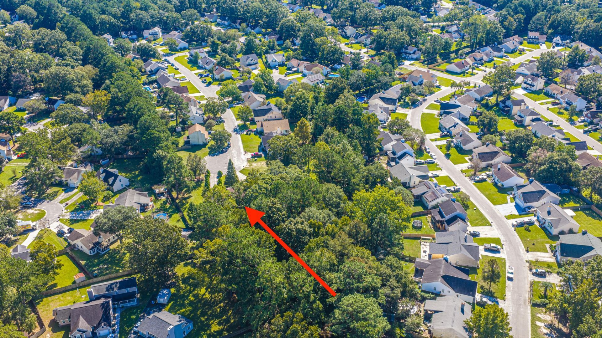 2229 Sawmill Trace Lane Photo 40