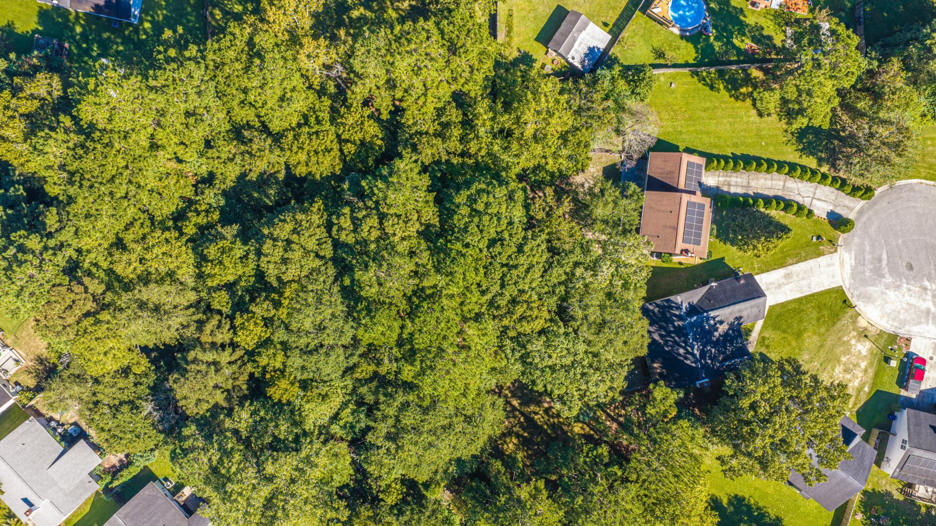 2229 Sawmill Trace Lane Photo 43
