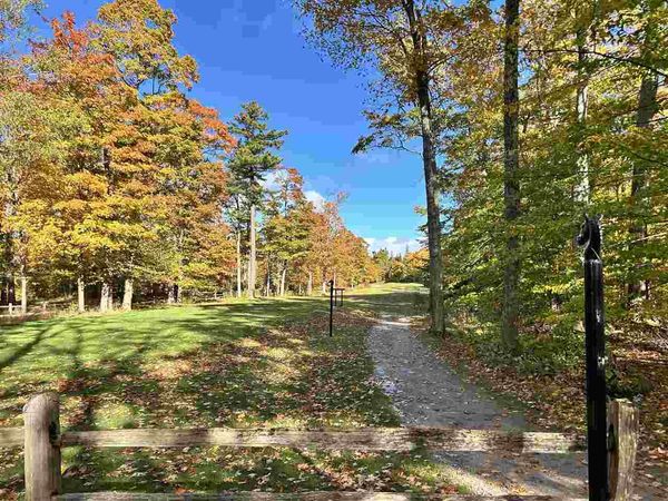 Lot 28 Forest Drive, Mackinac Island, MI 49757
