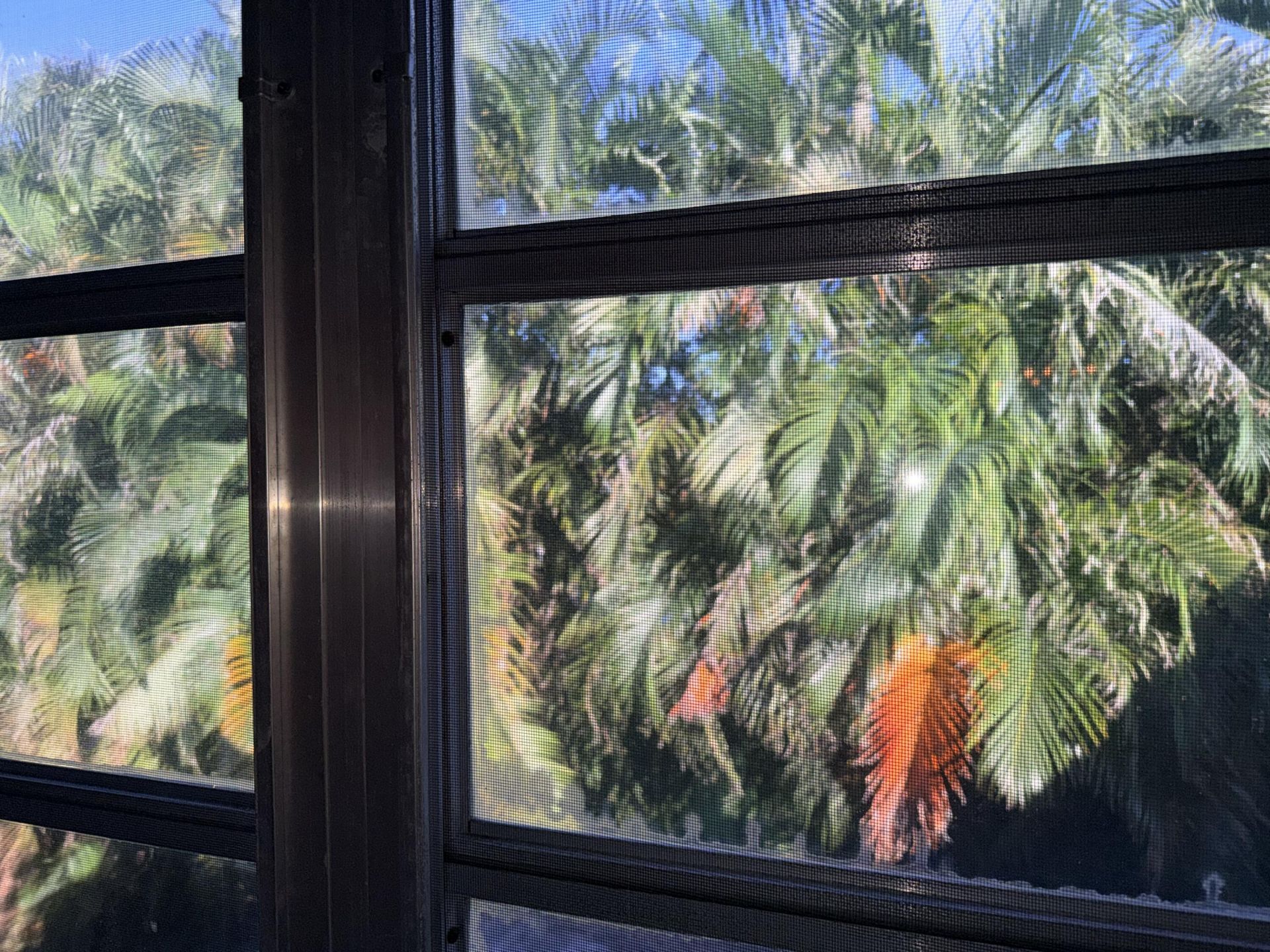 1150 Mahogany Way, Unit 203, Delray Beach, FL 33445 Photo