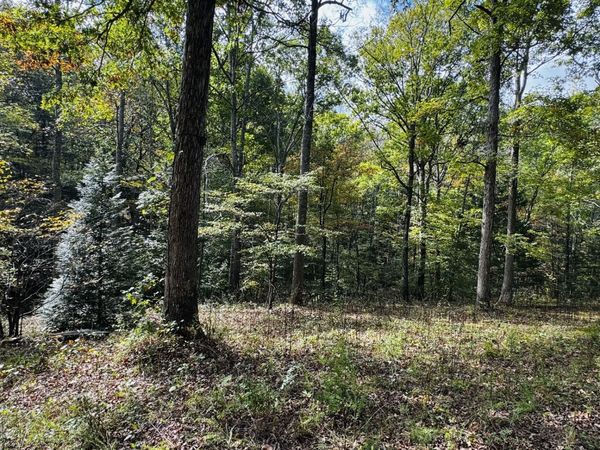 0 Brown Ln, White Bluff, TN 37187