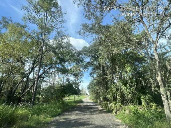 9901 AVALON WOODS DRIVE , WINTER GARDEN, FL 34787