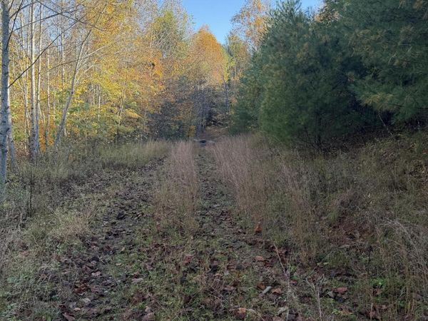 0 Shelor RD SW, Meadows of Dan, VA 24120