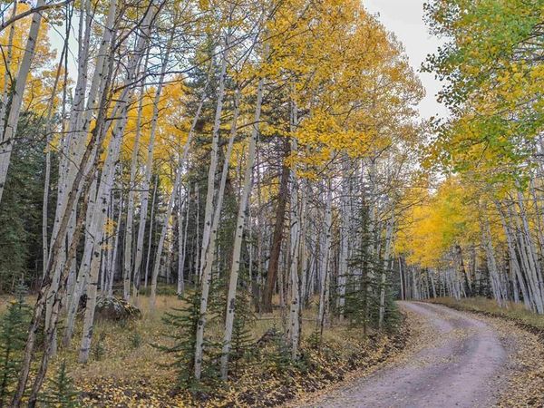 32301 Spring Creek Drive, Creede, CO 81130