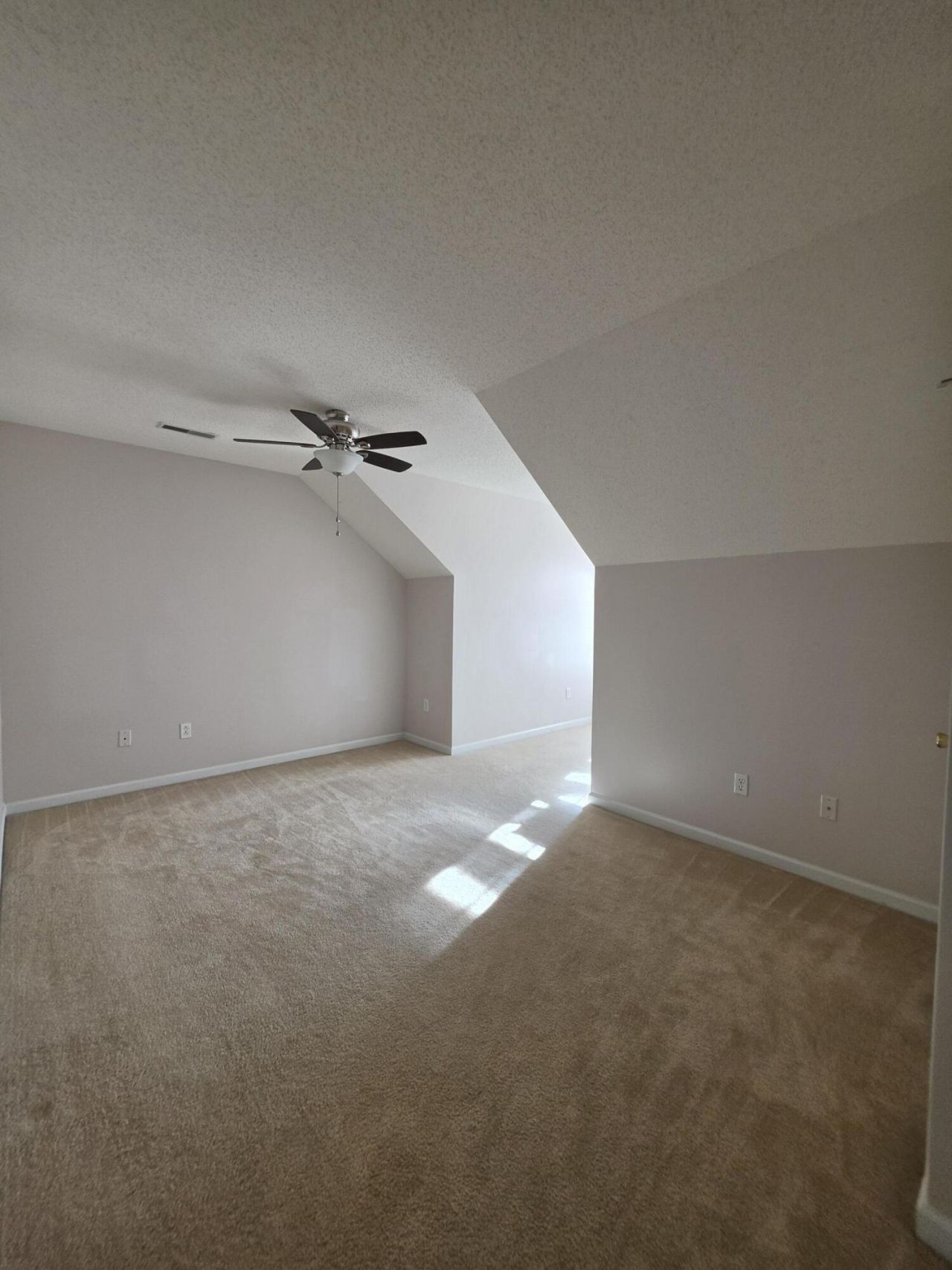 143 Darcy Avenue Photo 23