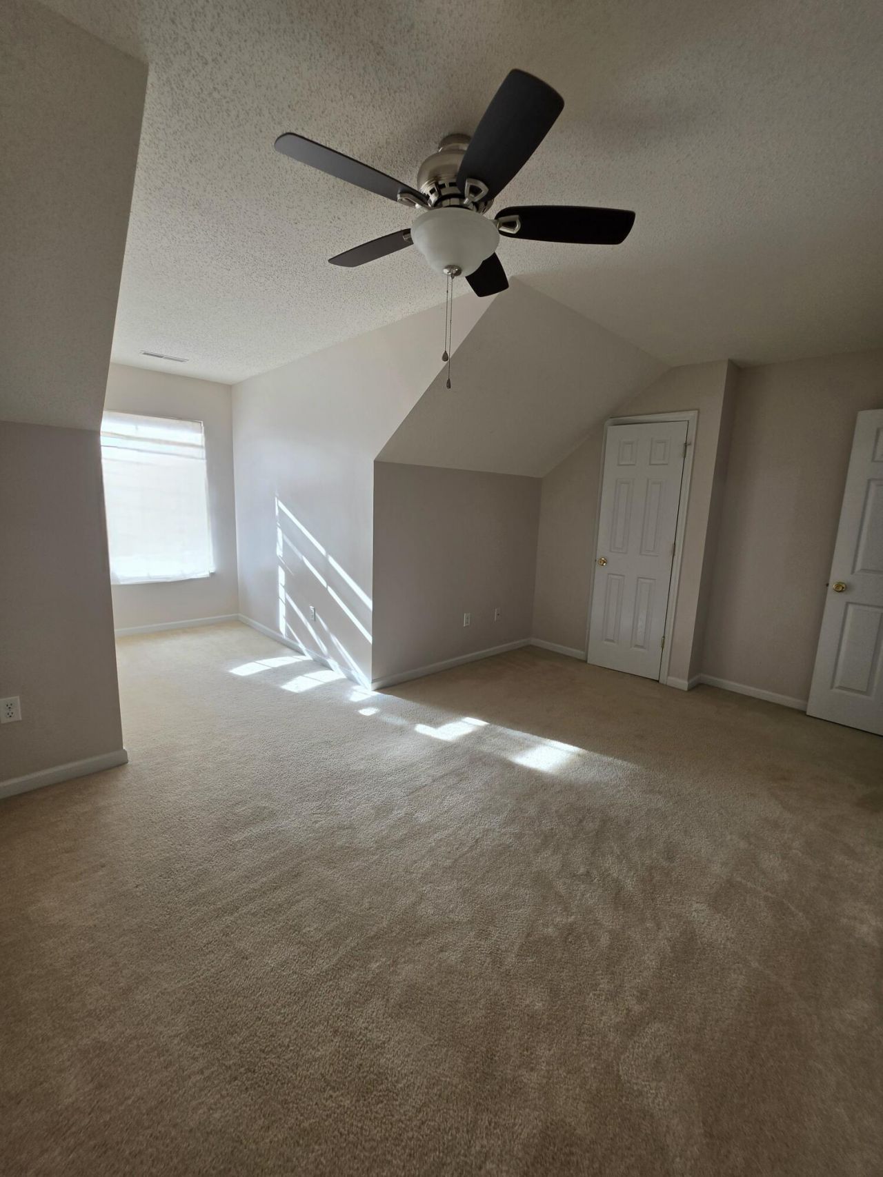 143 Darcy Avenue Photo 24