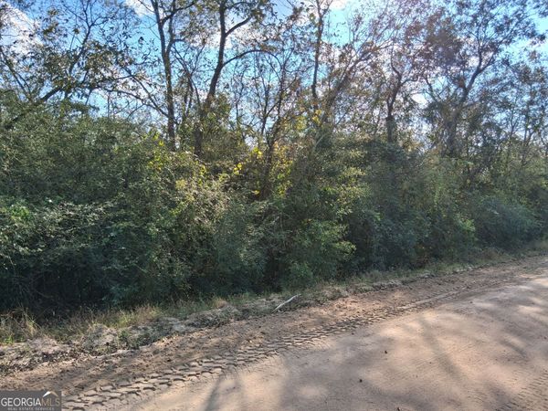 0 Tennille Harrison Road, Tennille, GA 31089